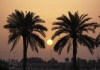 ویژگی‌های جذاب منطقه آزاد اروند برای سرمایه‌گذاران خارجی