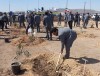 آیین درختکاری و آغاز طرح جنگل کاری شرکت توسعه آهن و فولاد گل گهر