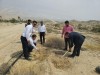 کاشت ۱۰۰۰ اصله نهال توسط شرکت پتروشیمی پارس/حفاظت از محیط زیست و مسئولیت اجتماعی در اولویت اقدامات این شرکت می باشد